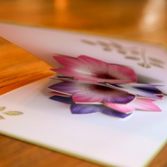 母亲节贺卡3D立体纸雕樱花节韩国创意请帖小卡片