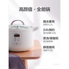 美的DZ16E102电炖锅家用陶瓷煲汤隔水炖锅煲粥全自动养生电炖盅