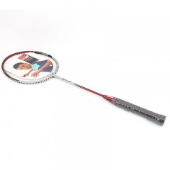红双喜DHS1021耐打初中级家庭铝合金羽毛球拍带球套装