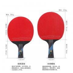 雷克斯乒乓球拍学生儿童两拍三球套装组合正反胶乒乓球拍