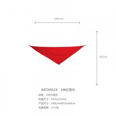 晨光1米领巾ASCN9524