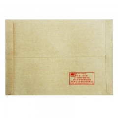得力(deli)20张3号牛皮纸信封 邮局标准信封176*125mm3421-20